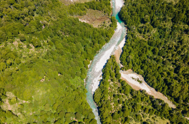 reserva-rio-picacho-02