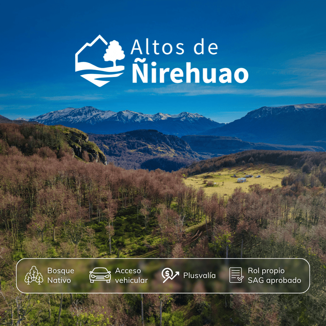 caratula-2-altos-de-nirehuao