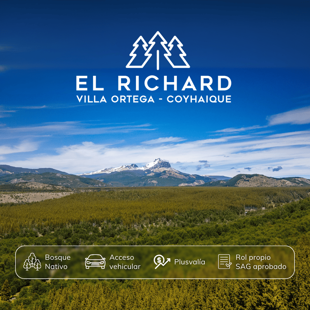 caratula-2-el-richard