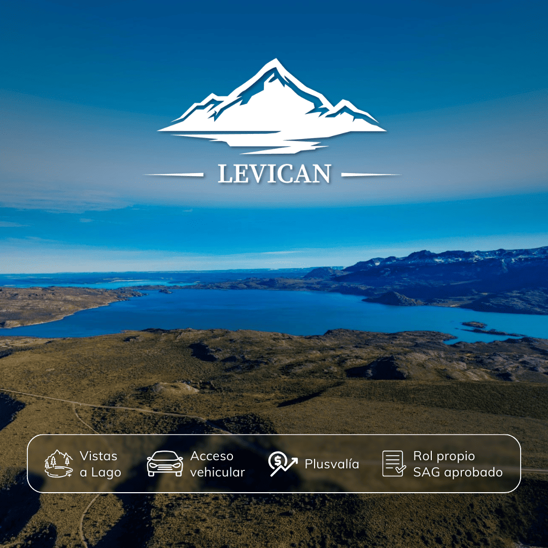 caratula-2-levican