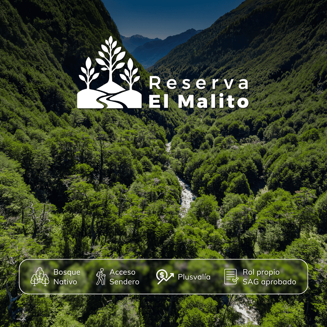 caratula-2-reserva-el-malito