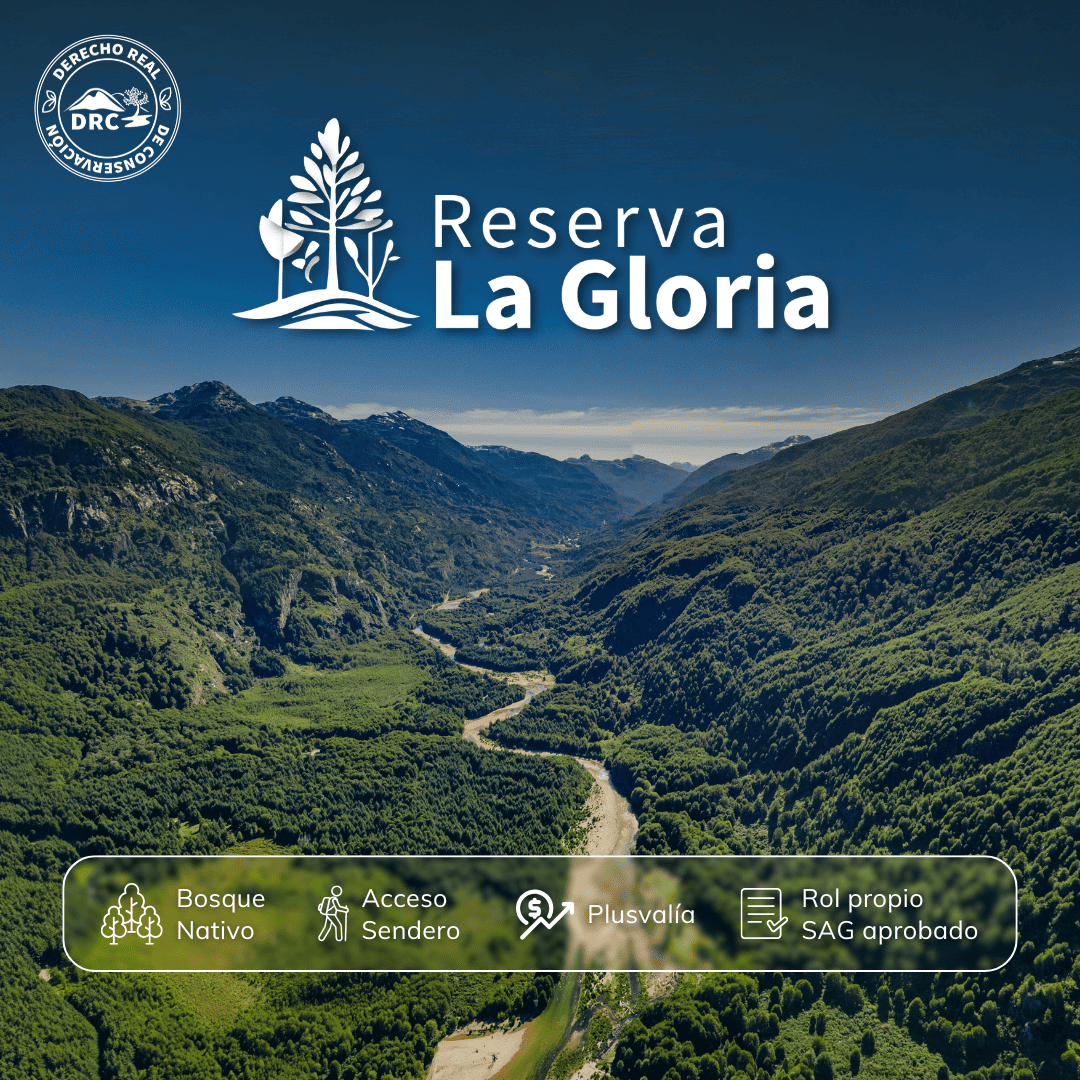 caratula-2-reserva-la-gloria