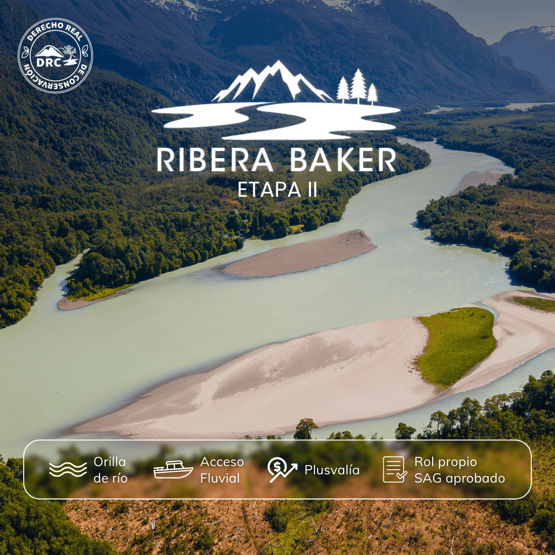 caratula-2-ribera-baker-ii