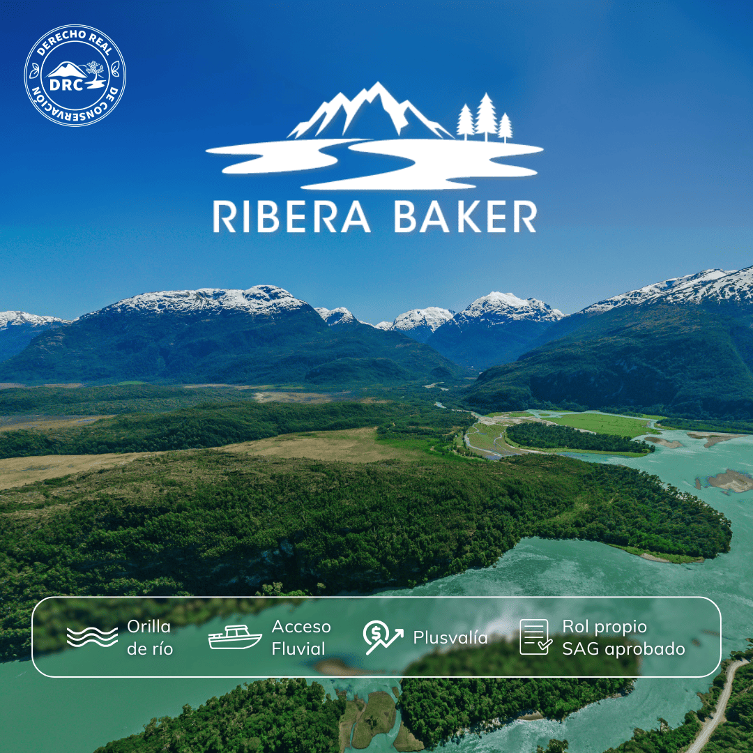 caratula-2-ribera-baker