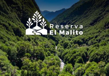 Whatsapp PB - El Malito Whatsapp PB - El Malito