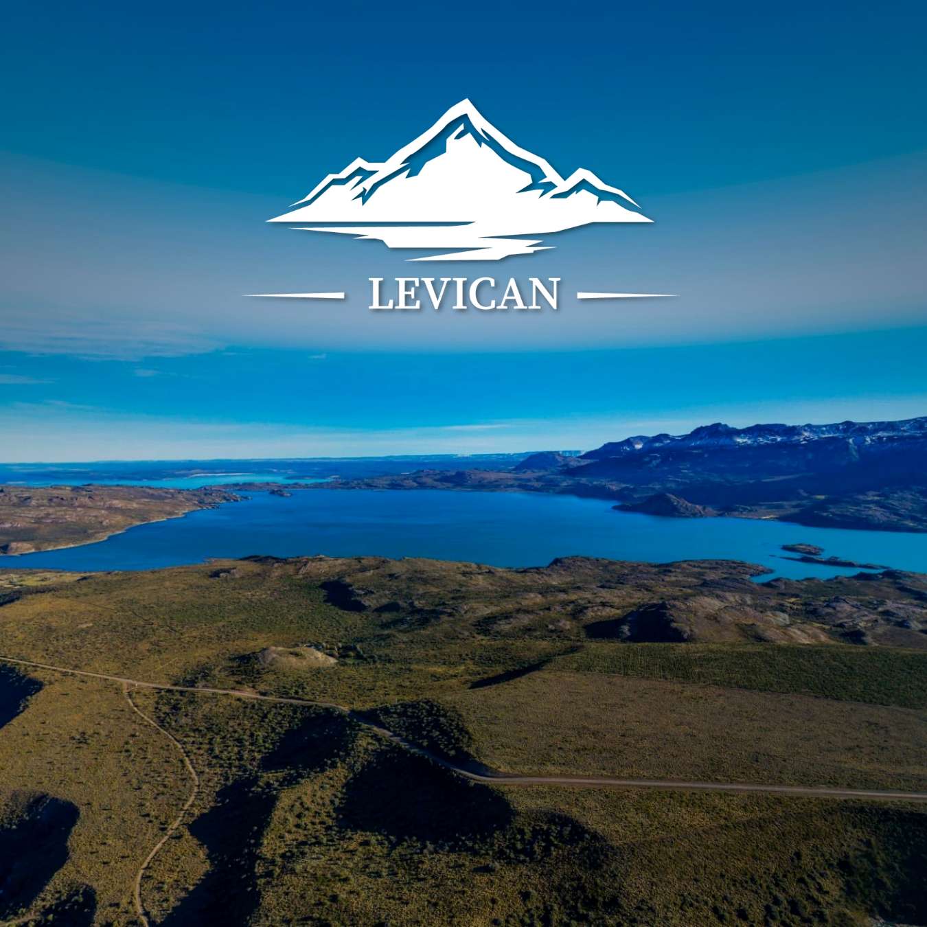 caratula-levican