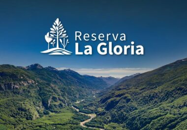 Whatsapp PB - La Gloria Whatsapp PB - La Gloria