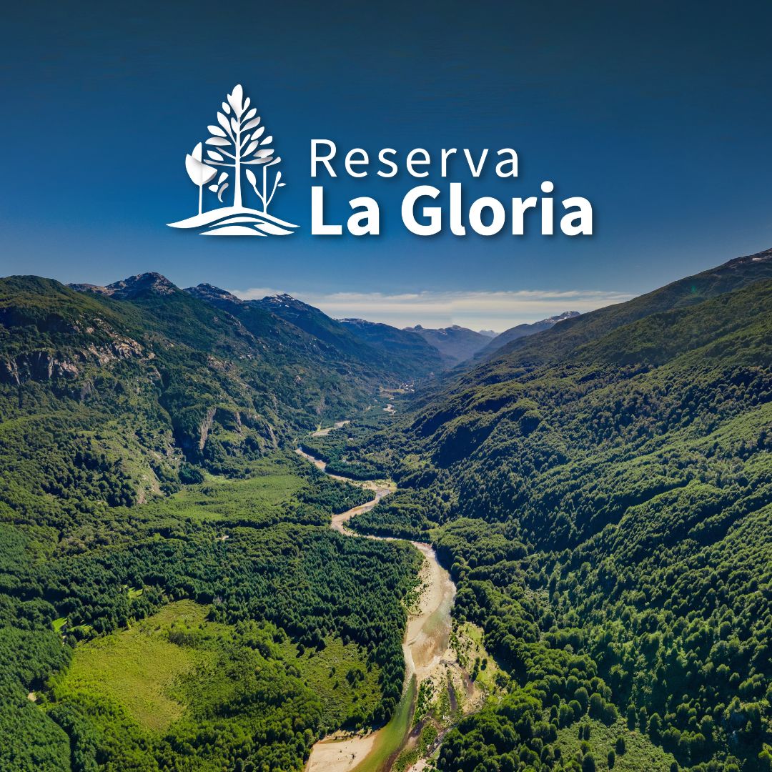 caratula-reserva-la-gloria