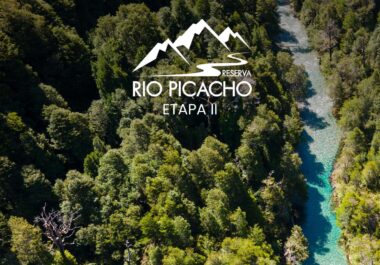 Whatsapp PB - Picacho II Whatsapp PB - Picacho II