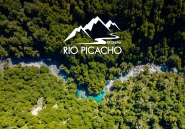 Whatsapp PB - Picacho I Whatsapp PB - Picacho I