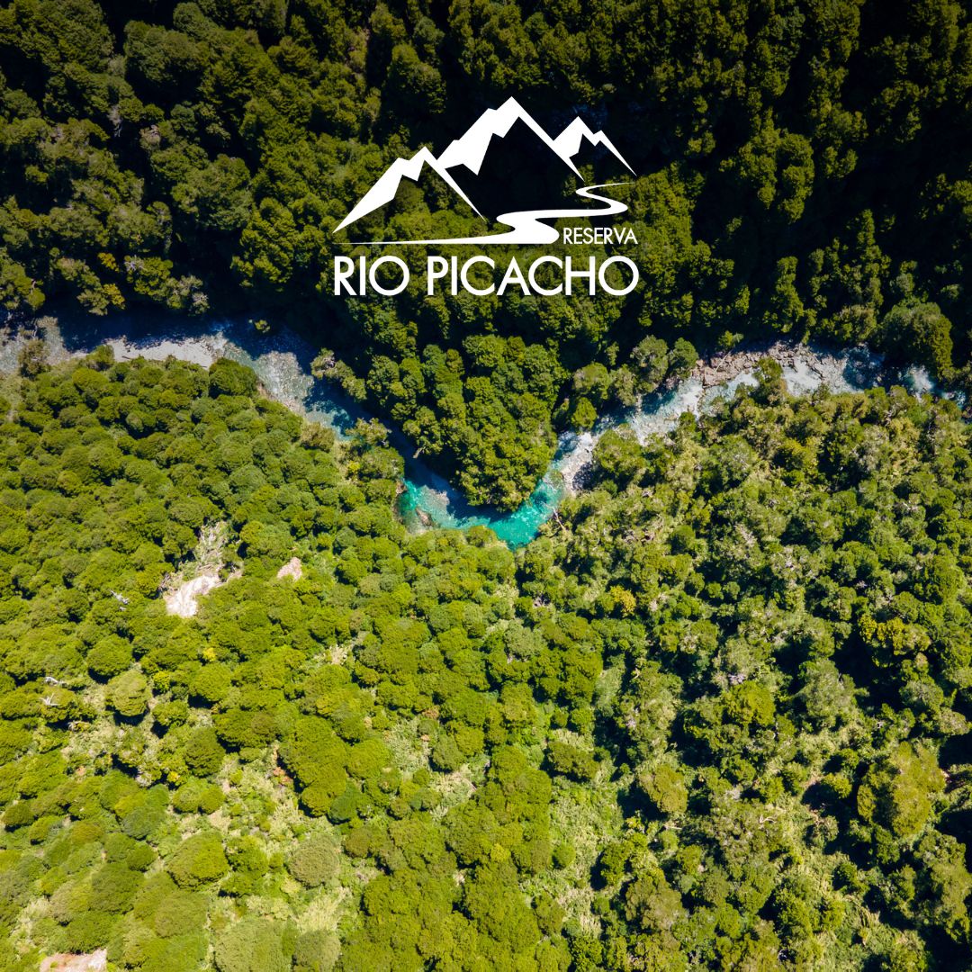 caratula-reserva-rio-picacho