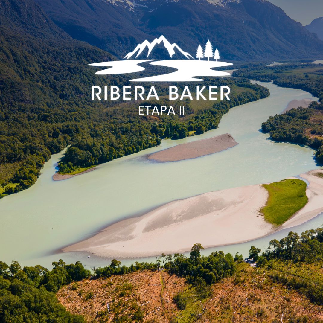 caratula-ribera-baker-ii