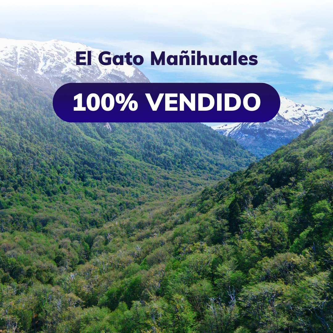 el-gato-manihuales
