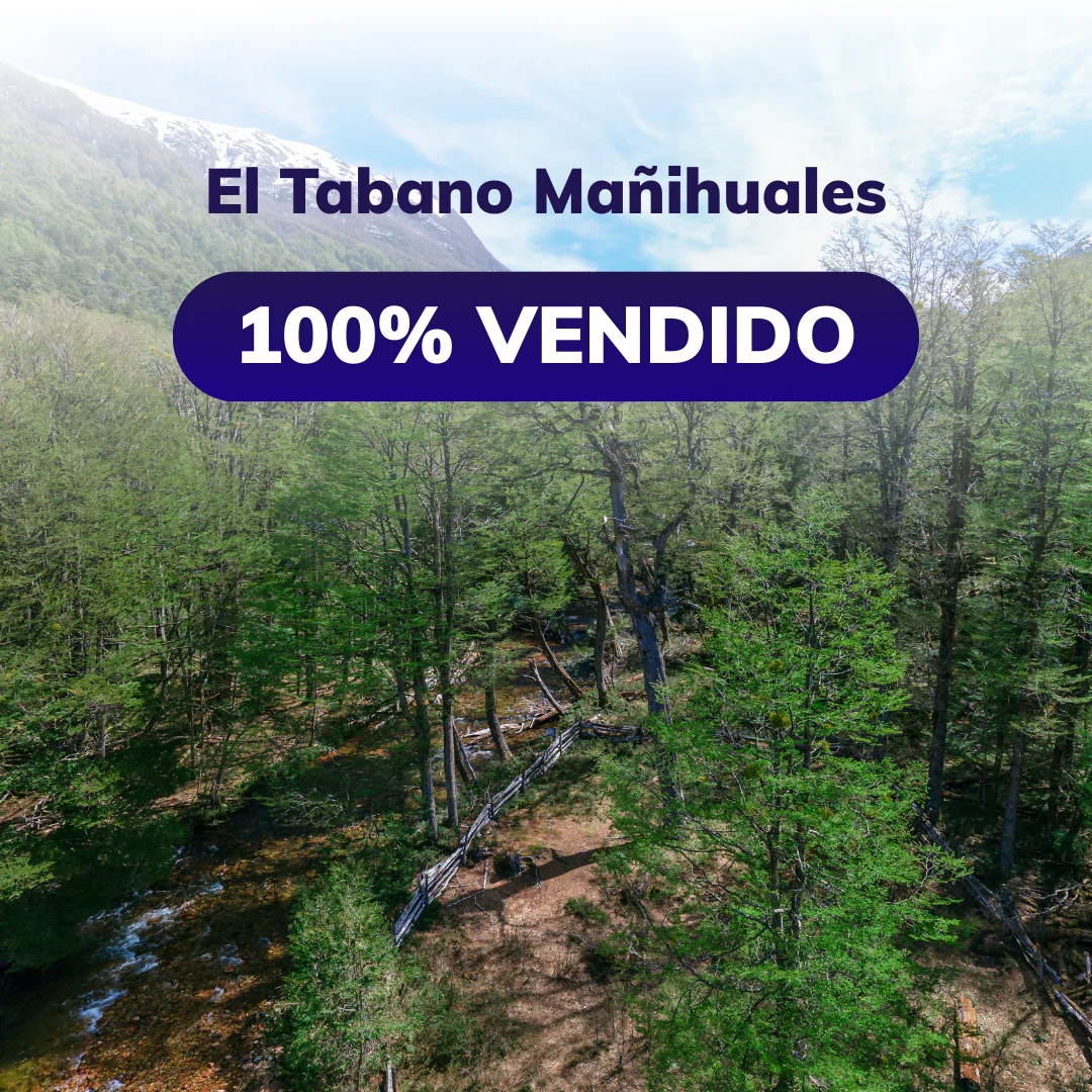 el-tabano-manihuales