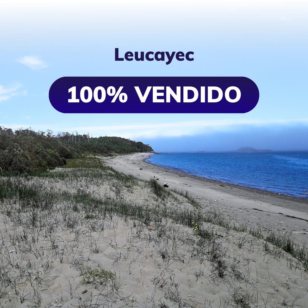 leucayec