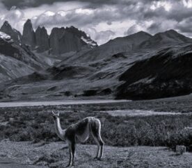 conservacion-03 conservacion-03