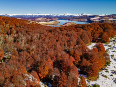 Proyecto Mirador Lago Monreal Patagonia Broker