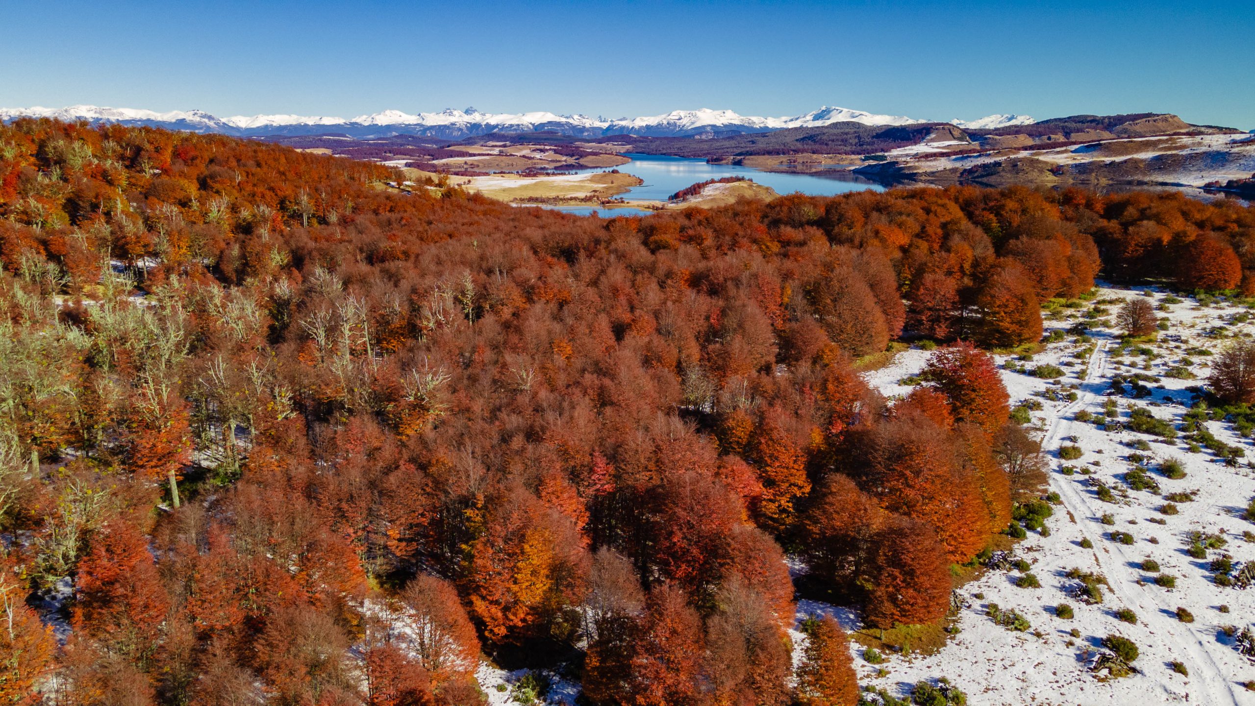 Proyecto Mirador Lago Monreal Patagonia Broker